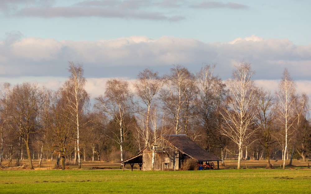 Lauteracherried im Jänner 69